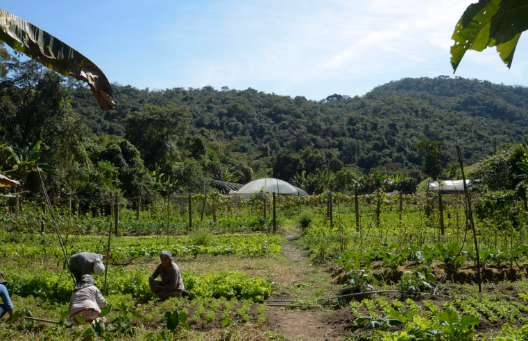 Lula autoriza uso de R$ 12 bilhões para renegociação de dívidas rurais