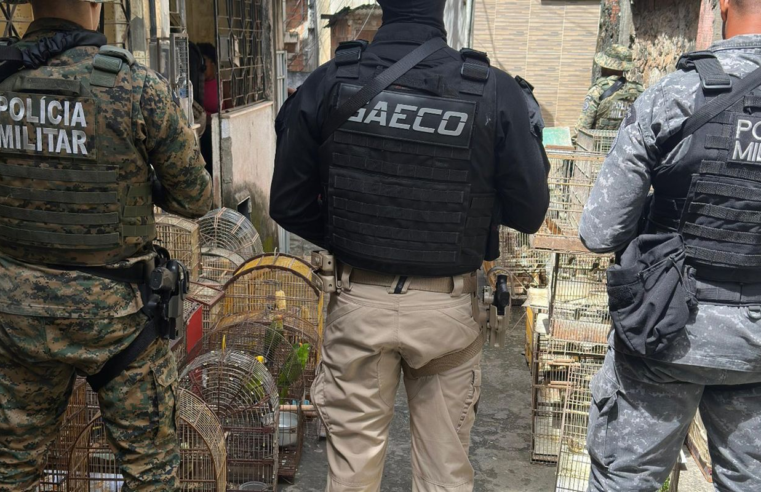 Operação prende na Bahia um dos maiores traficantes de animais do país