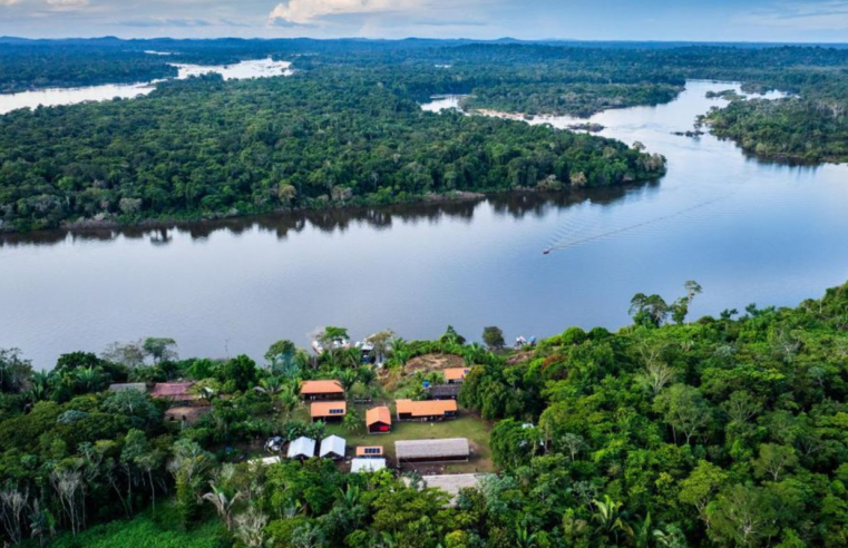 BNDES lança edital voltado para recuperação da floresta amazônia