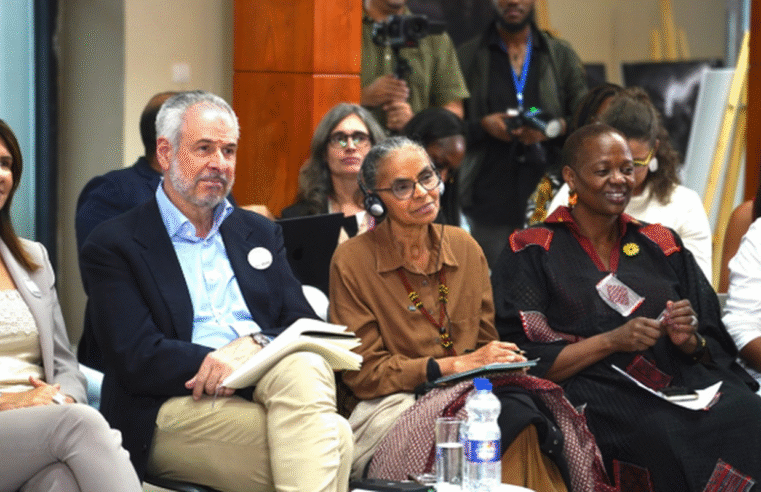 Marina pede transição energética que considere limitações de cada país