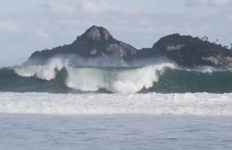 Jovens de 9 países participam de curso de pesquisas oceânicas no Rio