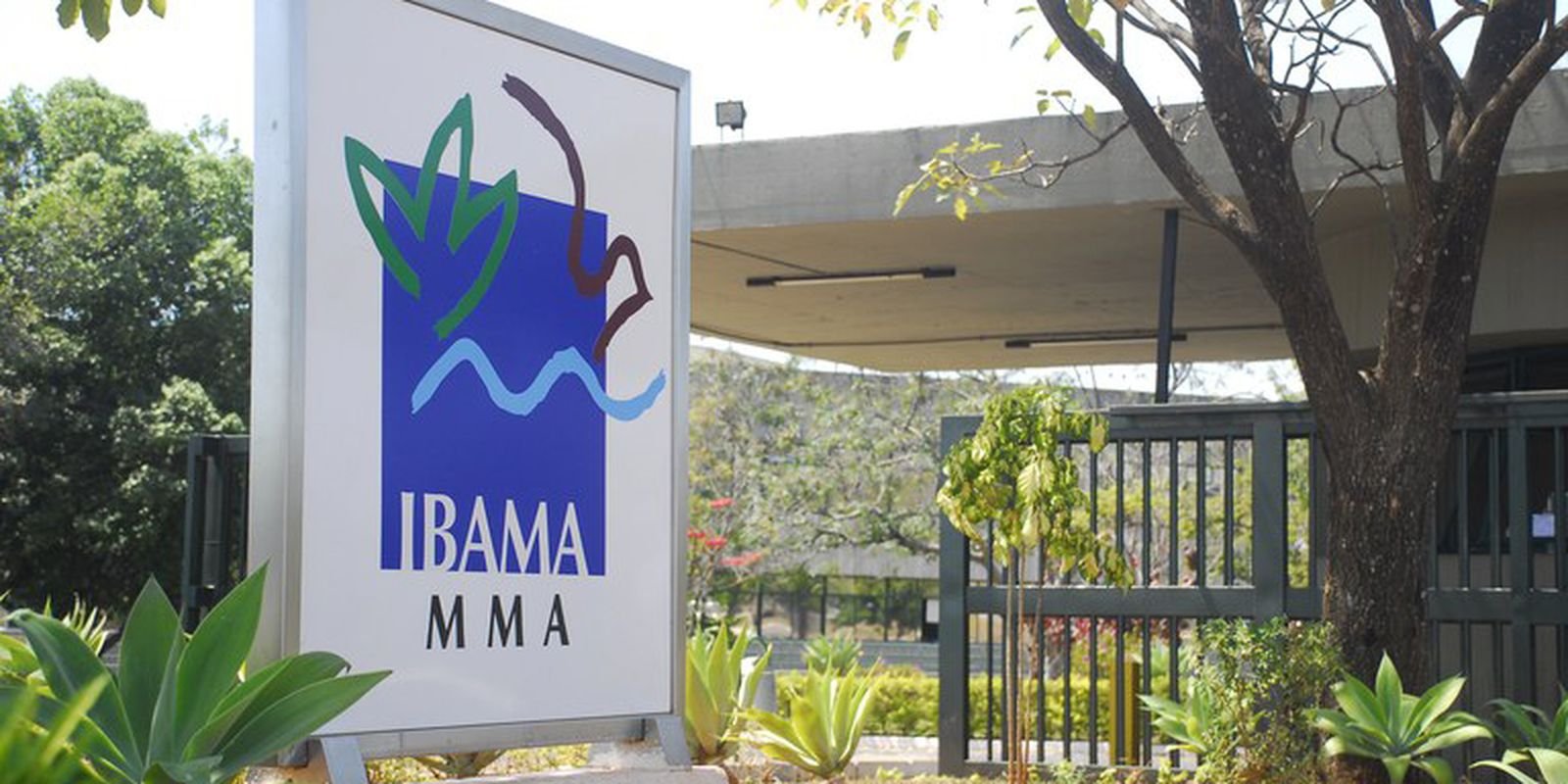 Governo autoriza nomeação de 460 aprovados em concurso do Ibama