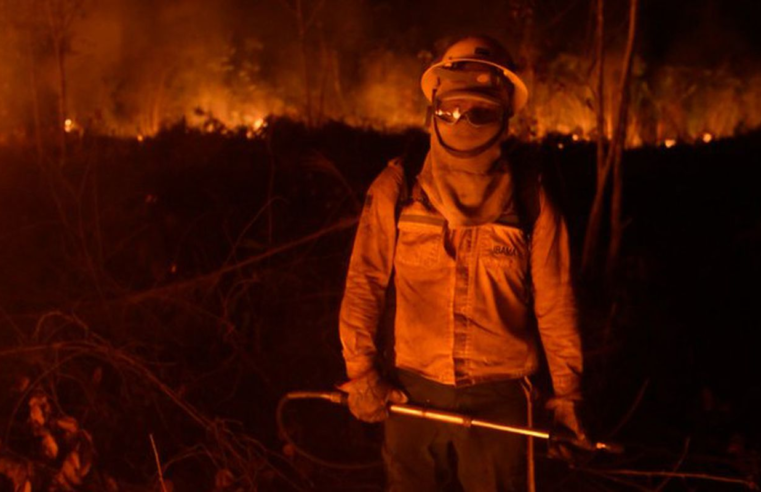 Caminhos da Reportagem expõe os desafios no combate às queimadas