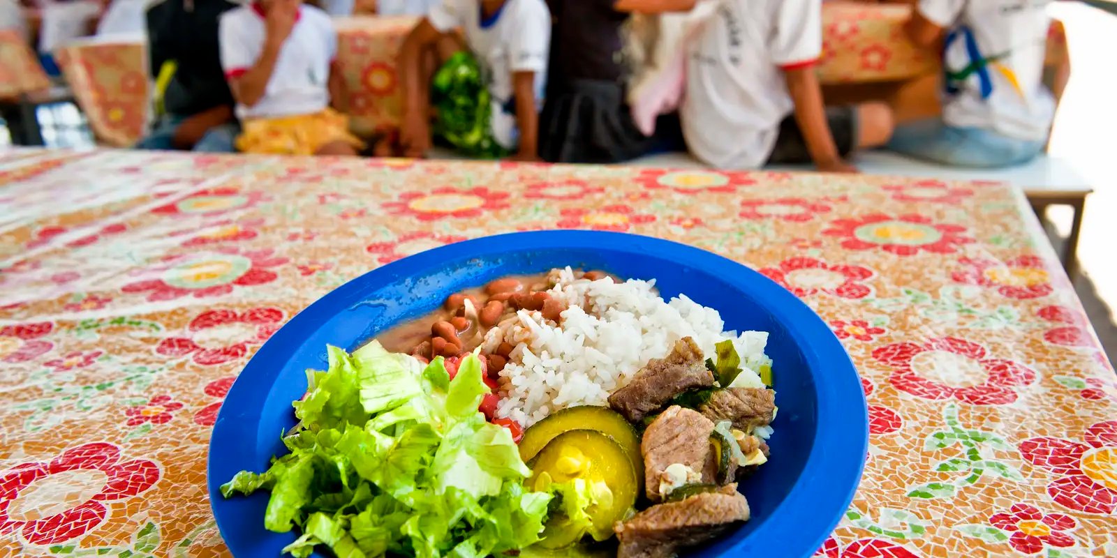Câmara aprova projeto de compra de alimentos para merenda escolar