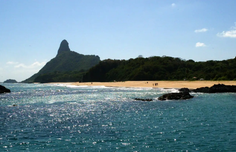 Ilhas brasileiras: estudo revela presença de espécies exclusivas