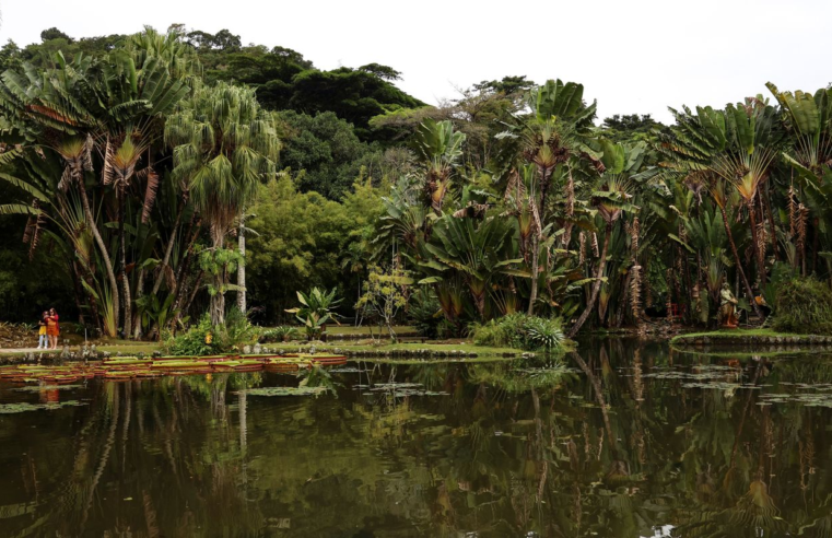 Concurso de Fotografia integra programação do Dia Mundial da Limpeza
