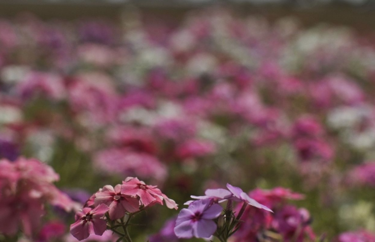 Primavera começa com chegada de frente fria, temporais e fortes ventos