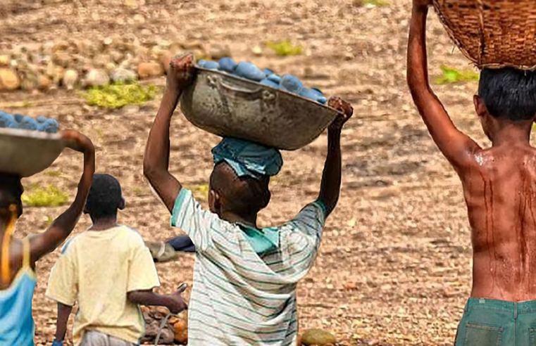 Brasil tem redução recorde na lista Piores Formas de Trabalho Infantil