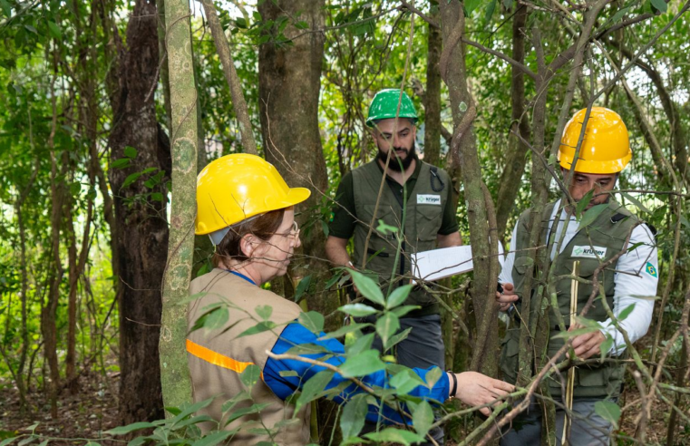 Itaipu triplica diversidade florestal nos arredores do reservatório