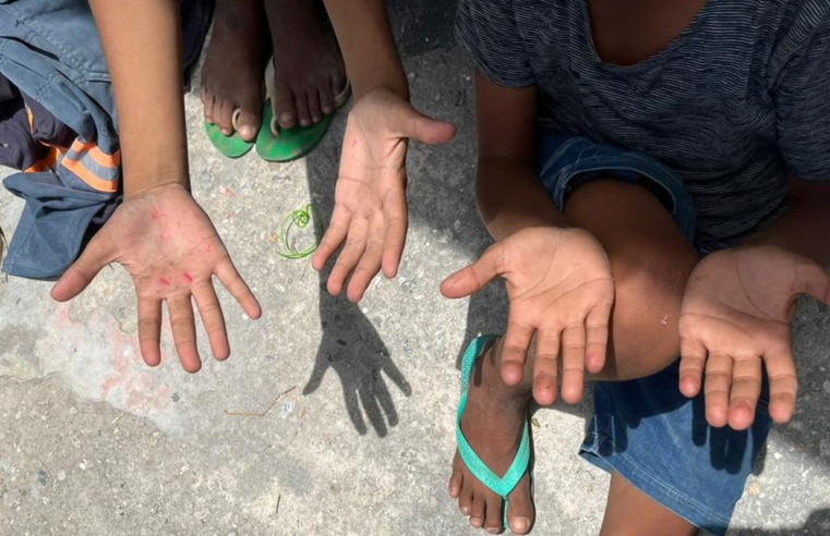 ONG alerta para alta do trabalho infantil entre crianças de 5 a 9 anos