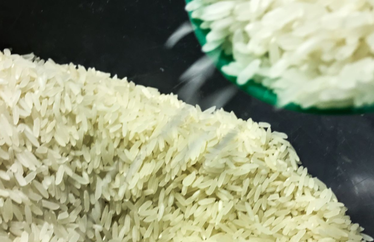 Conab anuncia R$ 300 milhões para produtores de arroz na safra 2025/26