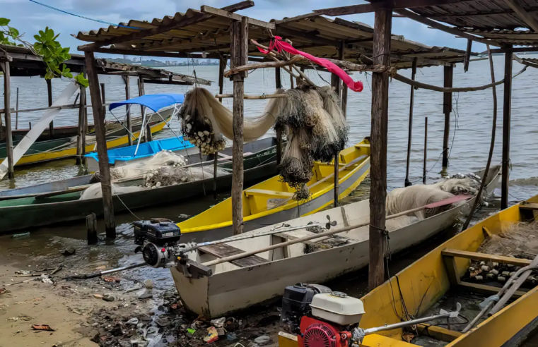 Gestão do seguro-defeso passará para Ministério do Trabalho em outubro