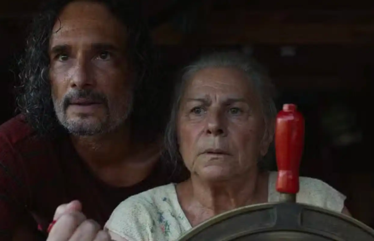 Público de filmes brasileiros no cinema cresce e chega a 11,2% em 2025