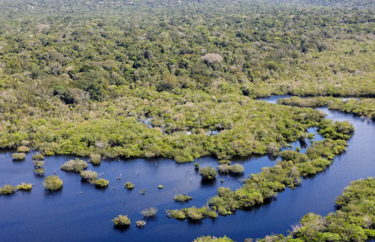 Boleto gigante na Paulista cobra países ricos sobre dívida com o clima