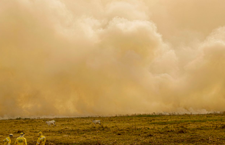 Calor já mata meio milhão de pessoas por ano, alertam cientistas