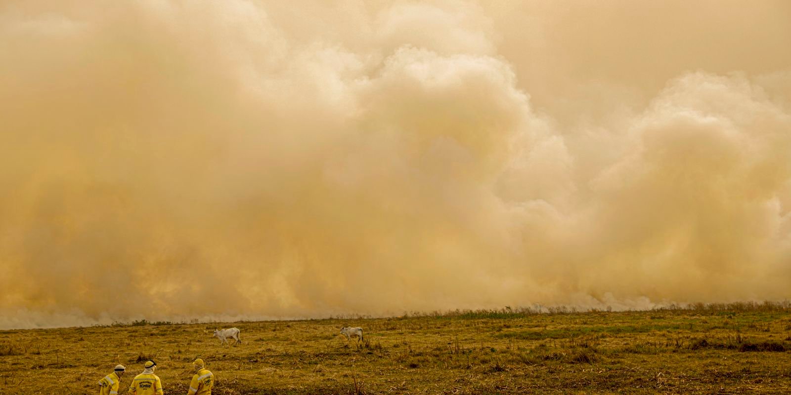 Calor já mata meio milhão de pessoas por ano, alertam cientistas