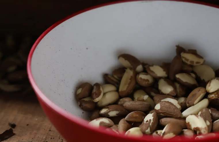 Agricultura familiar do Nordeste vai à maior feira mundial alimentos