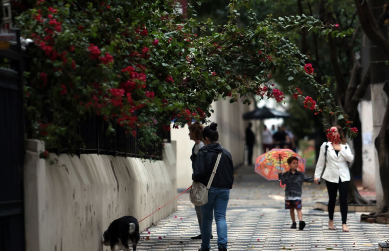 Defesa Civil alerta para risco de temporais em SP no fim de semana