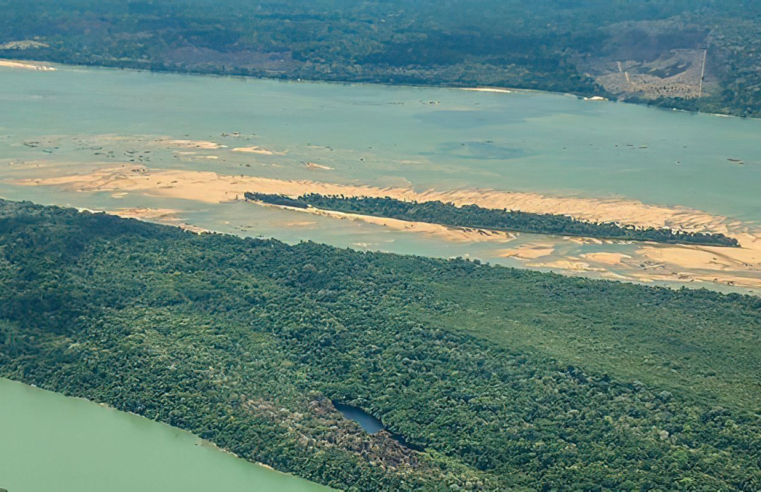 Terra Indígena Munduruku volta a ser pressionada pelo desmatamento