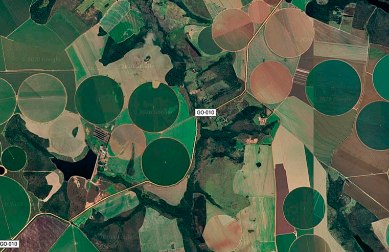 Cerrado brasileiro perdeu 28% da vegetação nativa em 40 anos