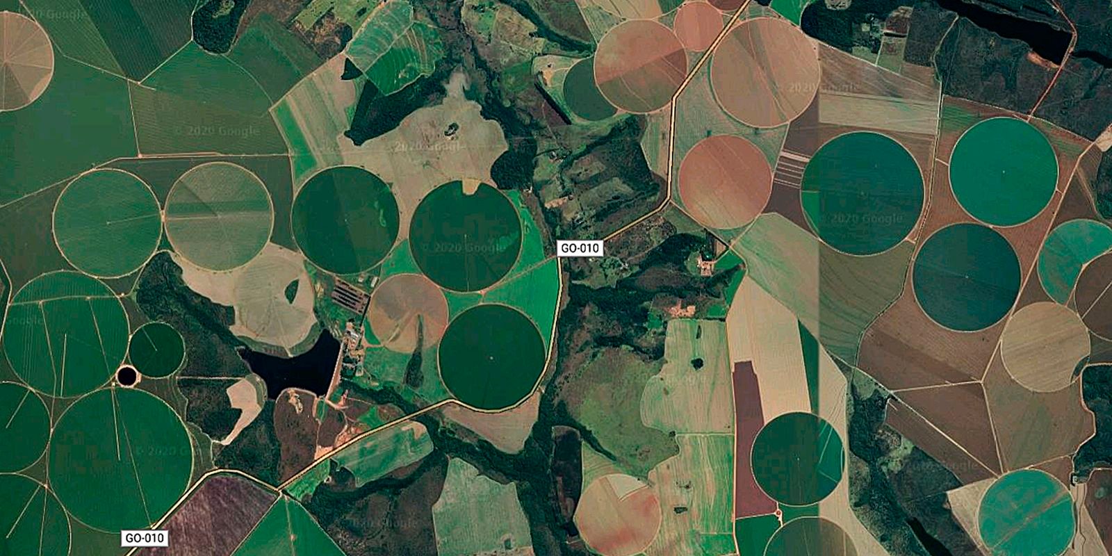 Cerrado brasileiro perdeu 28% da vegetação nativa em 40 anos