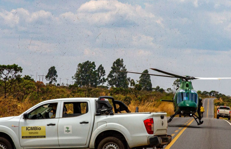 Chuva ajudou no combate a incêndios na Chapada dos Veadeiros