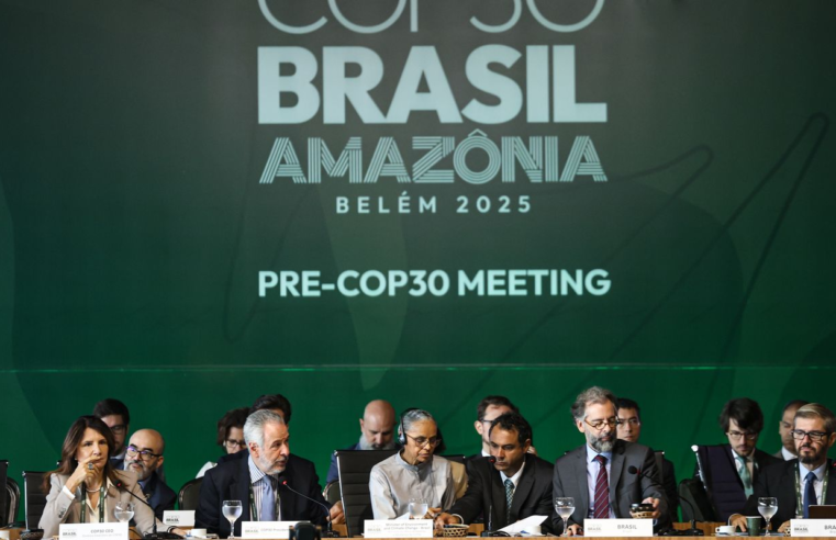 Cerca de 300 iniciativas lançadas em COPs foram descontinuadas