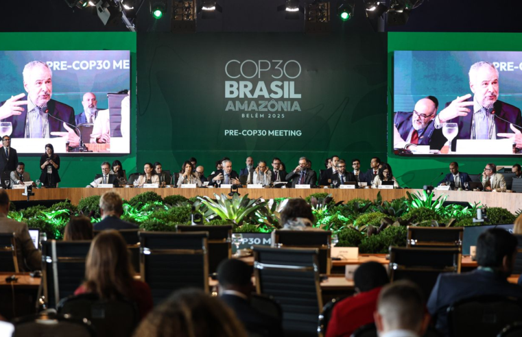 BNDES lança plataforma para acompanhar ações do Fundo Clima