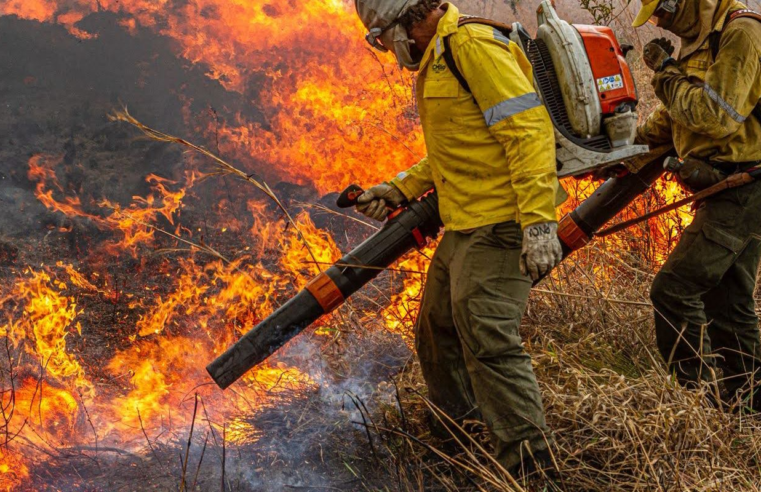 Pré-COP: Brasil propõe resposta global a incêndios florestais