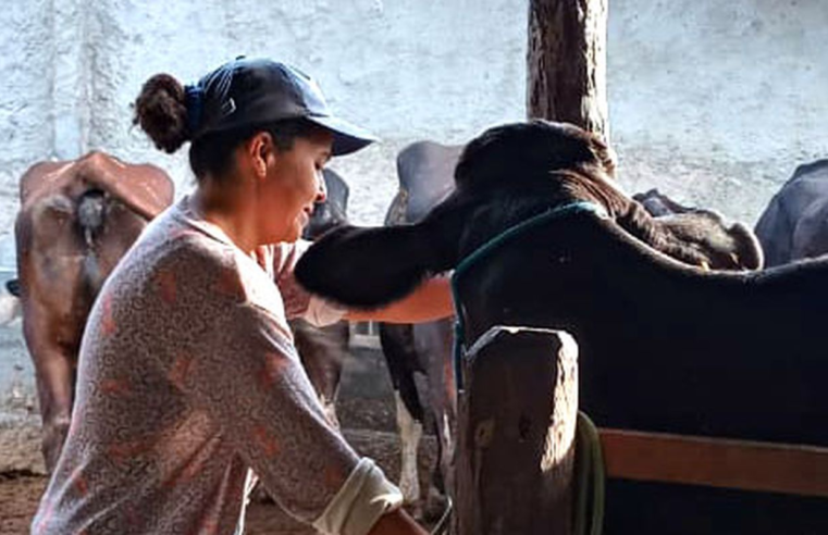 Mulheres rurais enfrentam informalidade e desigualdade no campo