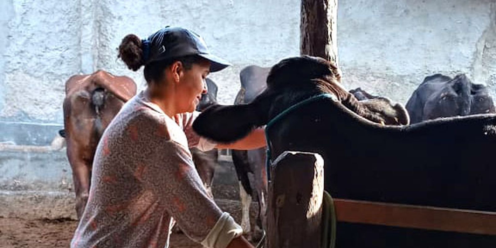 Mulheres rurais enfrentam informalidade e desigualdade no campo