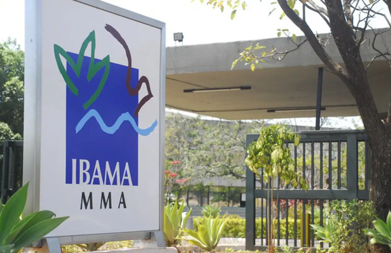 Ibama nega licença para usina termelétrica a gás natural em Brasília