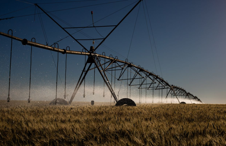 STF retoma julgamento sobre benefícios fiscais para agrotóxicos