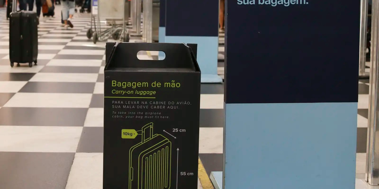 Senado aprova gratuidade para bagagem de mão em voos 