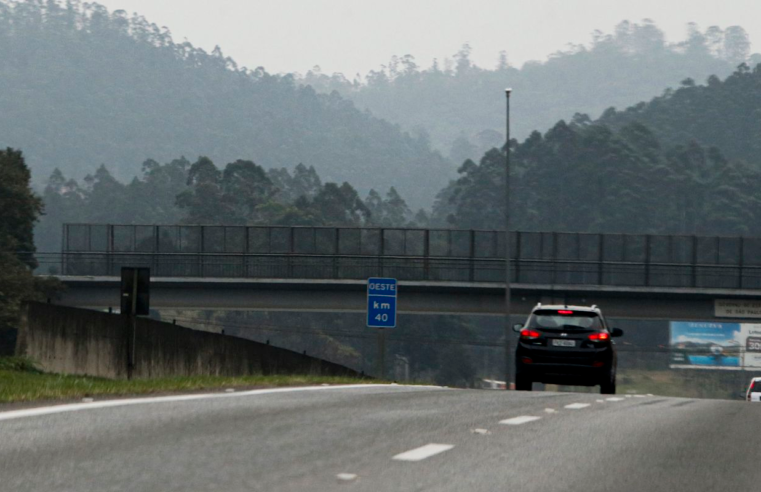 Consórcio PR vence leilão do Lote 4 de Rodovias do Paraná