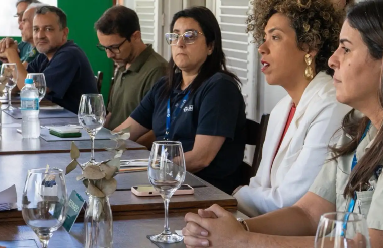 Comissão da Câmara pede que Ibama fiscalize crimes ambientais da CSN