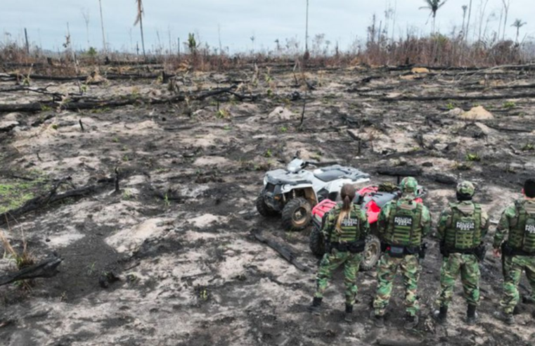 Desmatamento na Amazônia ameaça igarapés e segurança hídrica