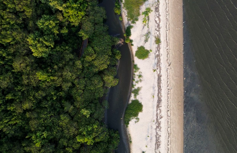 “Não existe Planeta B”, alerta astrofísico às vésperas da COP30