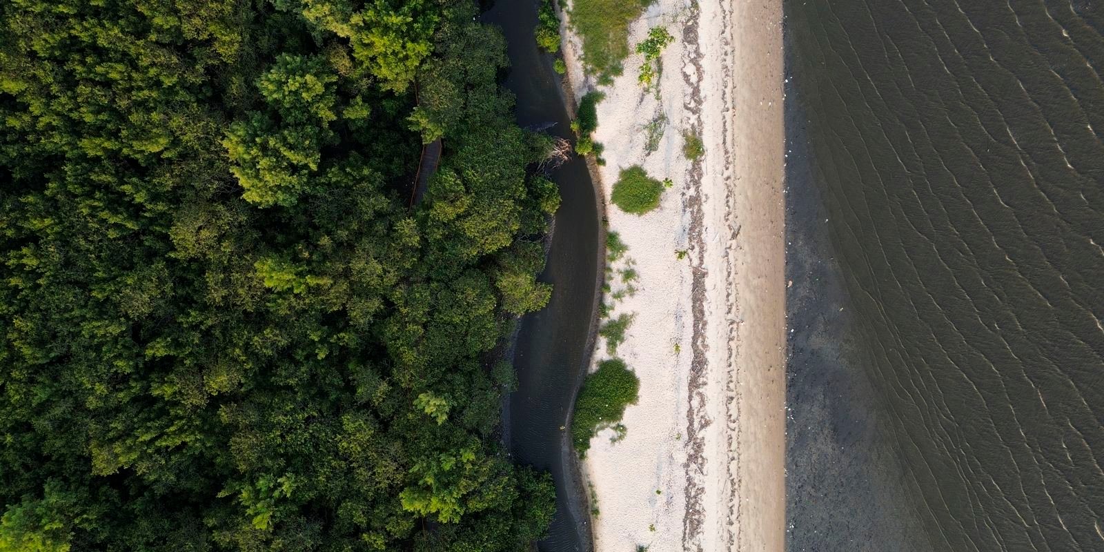 “Não existe Planeta B”, alerta astrofísico às vésperas da COP30