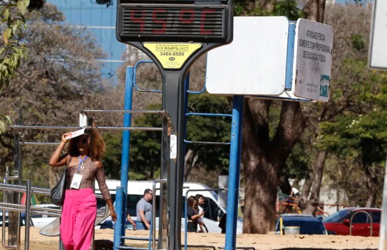 Efeitos das mudanças do clima agravam alergias, diz especialista