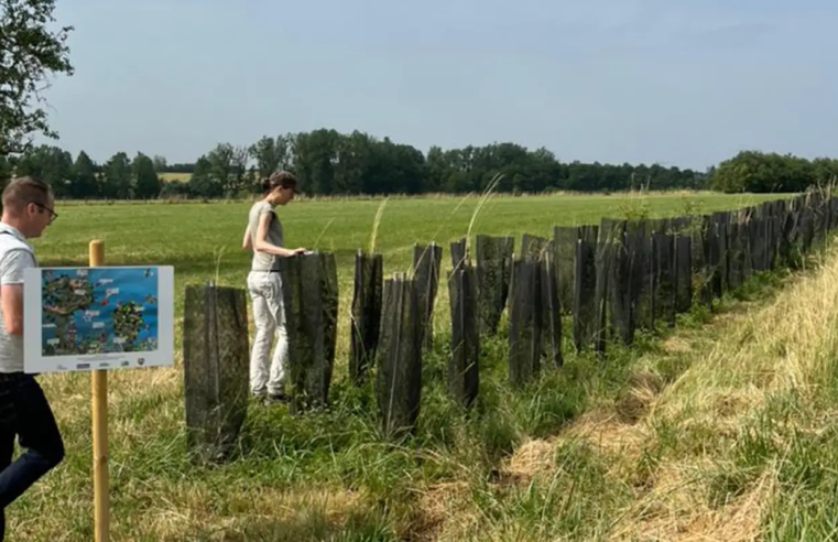 Floresta em pé: lavoura e árvores reduzem impacto de mudança climática