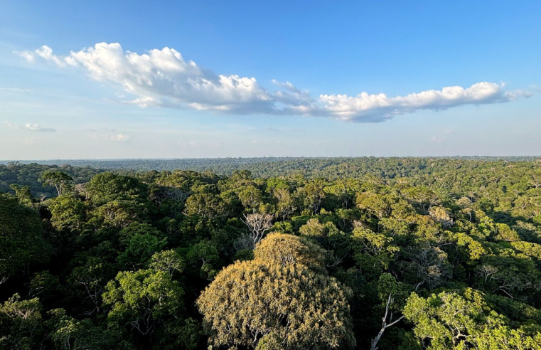COP30: o que é, quando acontece e o que será discutido em Belém