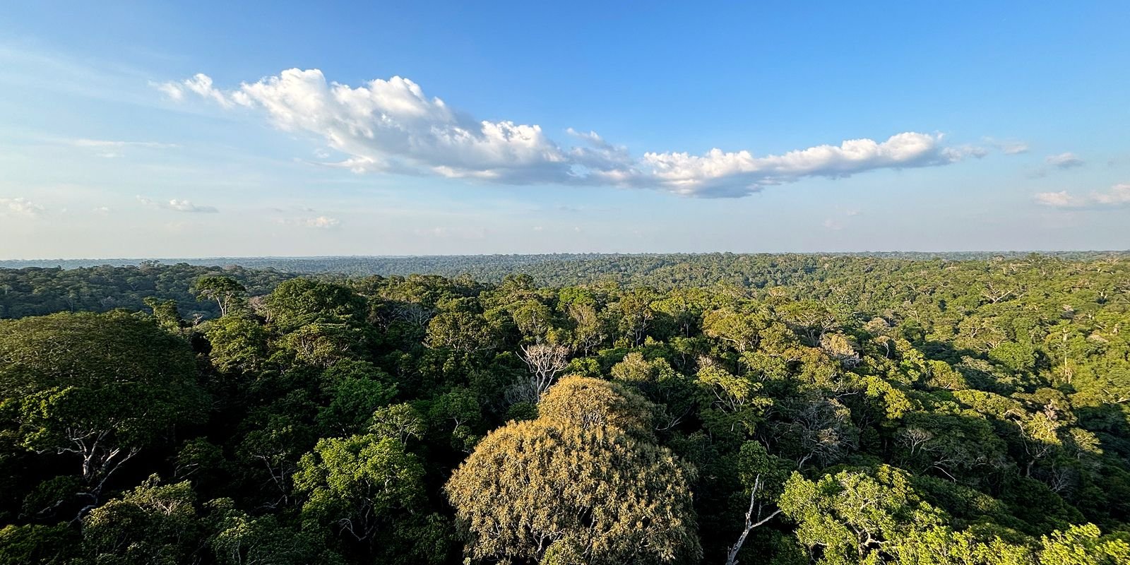 COP30: o que é, quando acontece e o que será discutido em Belém