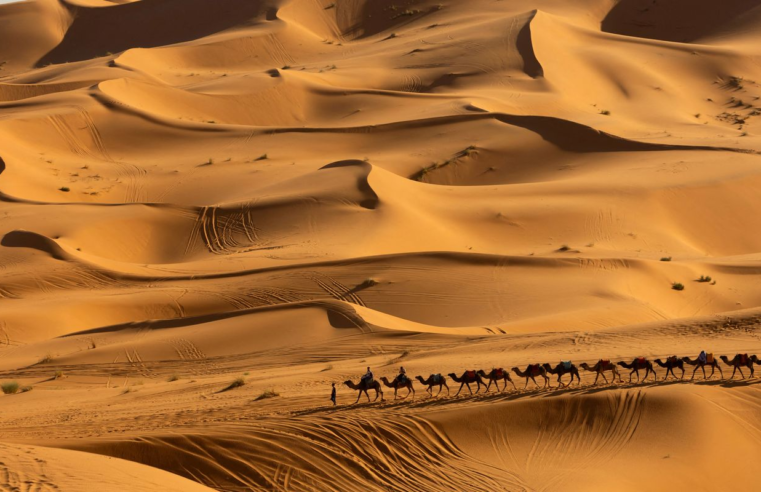 Pesquisa prevê mudanças no clima do Deserto do Saara nos próximos anos