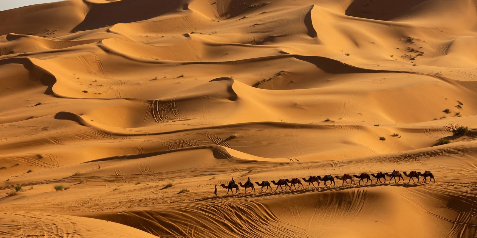 Pesquisa prevê mudanças no clima do Deserto do Saara nos próximos anos
