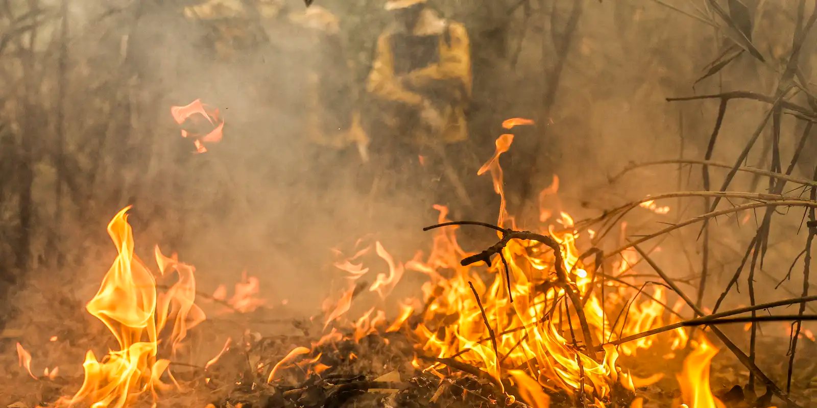 Pantanal é o bioma mais atingido pelo aumento da temperatura no país