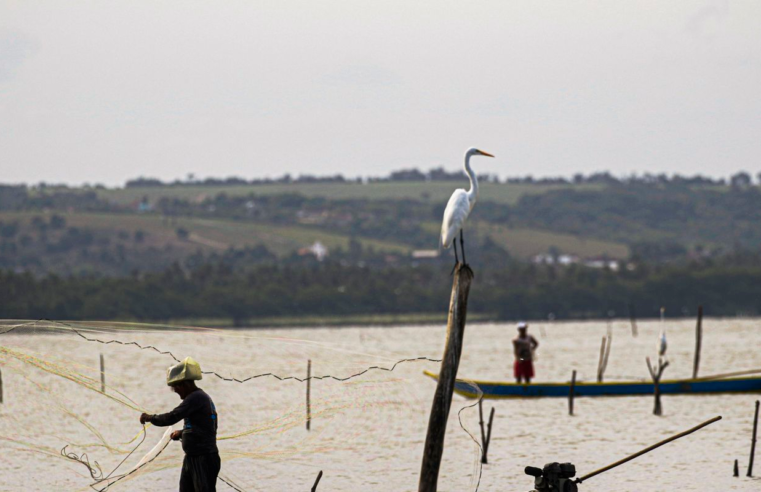 Gestão do seguro-defeso passa oficialmente ao Ministério do Trabalho
