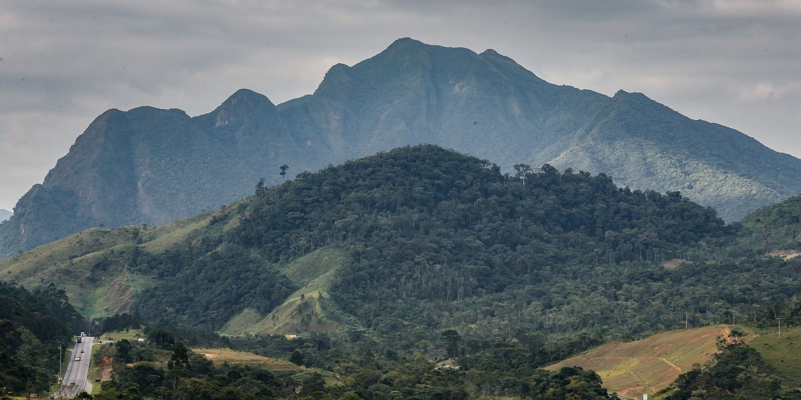 SOS Mata Atlântica mobiliza setor privado para conservação do bioma
