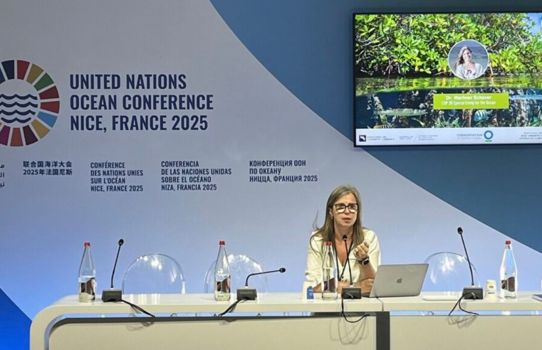 Especialista da COP30 cobra mais financiamento para oceanos