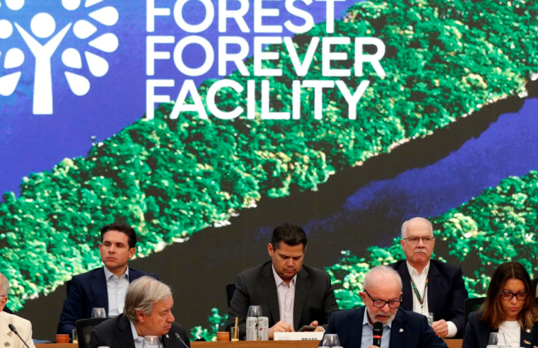 Fundo para florestas tropicais atinge aporte de US$ 5,5 bilhões